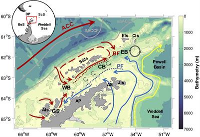 Changes in Phytoplankton Communities Along the Northern Antarctic Peninsula: Causes, Impacts and Research Priorities